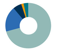 Gráfico carteira de investimentos