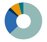 Gráfico carteira de investimentos
