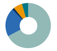 Gráfico carteira de investimentos
